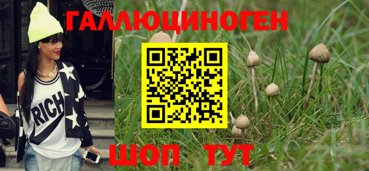 Галлюциногенные грибы Cubensis Курганинск